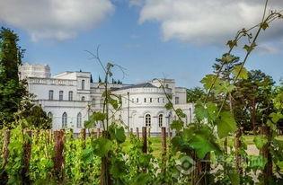 庄园 2025,展望未来农业生态新篇章