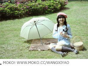 兜兜风,探寻城市角落的悠闲时光